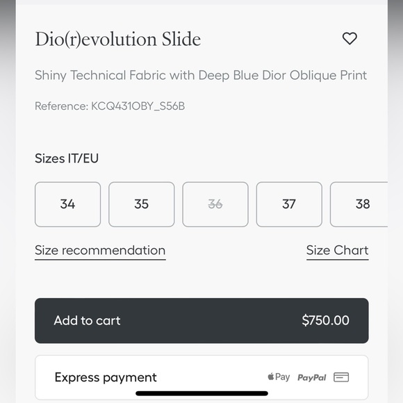 Dior revolution slides - Picture 4 of 4